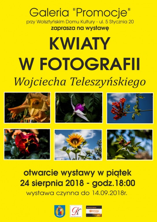 Wystawa Fotograficzna Wojciecha Teleszyskiego